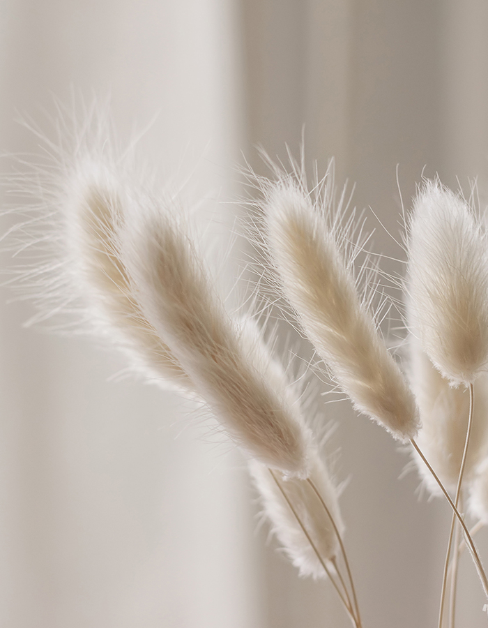 Zonnestudio-rosemarijn over ons